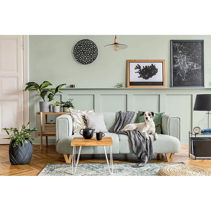 Caleo Color Wandfarbe Lehmfarbe Jade - Jade, Matt, 10 l - Ein gemütliches Wohnzimmer mit mintgrünem Sofa, Holztisch, Pflanzen und einem Hund auf dem Sofa.