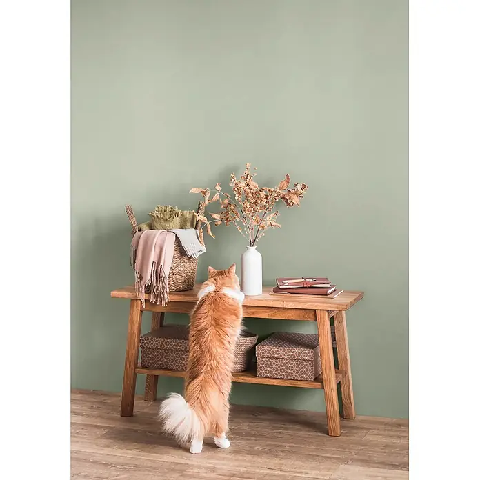 Caleo Color Wandfarbe Lehmfarbe Jade - Jade, Matt, 10 l - Heller Holzkonsolentisch mit Katze. Er trägt Korb, Vase, Notizbücher; Aufbewahrungsboxen darunter.