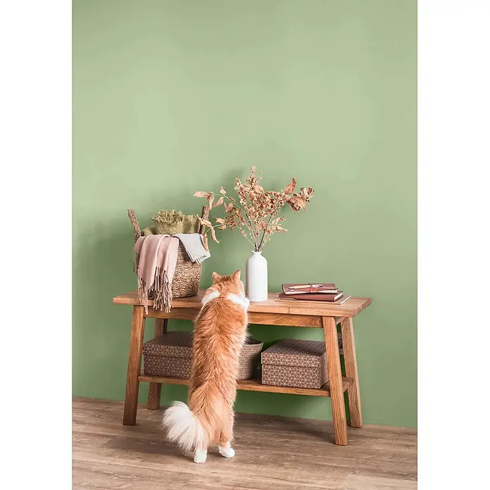 Caleo Color Wandfarbe Lehmfarbe Salbeiduft - Salbeiduft, Matt, 5 l - Ein hölzerner Konsolentisch zeigt einen dekorativen Korb, getrocknete Pflanzen und Notizbücher, während eine orangefarbene Katze die Oberfläche erkundet.