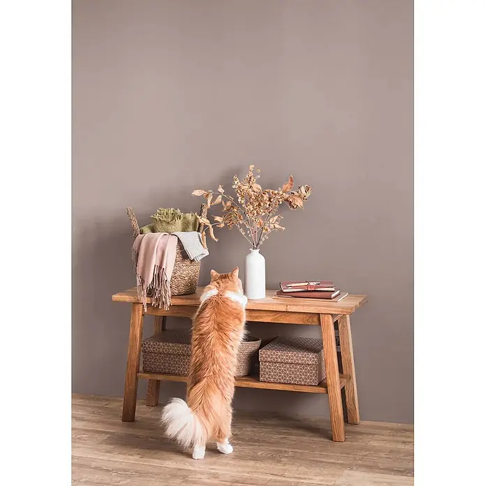 Caleo Color Wandfarbe Lehmfarbe Abenddämmerung - Abenddämmerung, Matt, 0,15 l - Heller Konsolentisch aus Holz mit zwei Ablagen, auf dem Korb, Vase und Bücher stehen, von einer neugierigen Katze beobachtet.