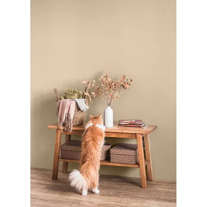 Caleo Color Wandfarbe Lehmfarbe Königsfelsen - Königsfelsen, Matt, 2,25 l - Flauschige orange Katze auf Hinterbeinen reckt sich zu einem hellen Konsolentisch aus Holz, dekoriert mit Korb, Trockenblumen und Notizbüchern.