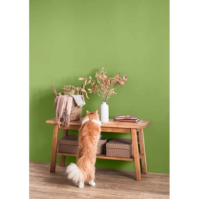 Caleo Color Wandfarbe Lehmfarbe Gingko - Gingko, Matt, 10 l - Hölzerner Konsolentisch mit Ablagefläche, darauf Dekoration und eine Katze, die Gegenstände erkundet.
