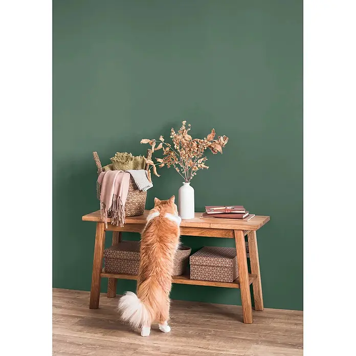 Caleo Color Wandfarbe Lehmfarbe Feigenblatt - Feigenblatt, Matt, 0,15 l - Eine orangefarbene Katze streckt sich nach einem hellen Holzkonsolentisch mit Korb, Trockenblumen und Notizbüchern. Darunter befinden sich gemusterte Aufbewahrungsboxen.