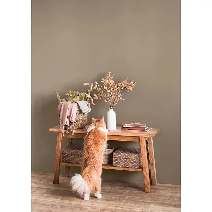 Caleo Color Wandfarbe Lehmfarbe Steineiche - Steineiche, Matt, 0,15 l - Ein Holz-Konsolentisch mit Regal, dekoriert mit Gegenständen und Aufbewahrungsboxen, eine Katze schaut neugierig auf die Oberfläche.