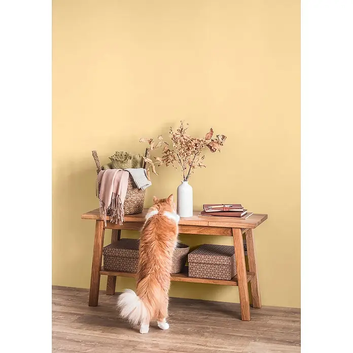 Caleo Color Wandfarbe Lehmfarbe Saharawind - Saharawind, Matt, 5 l - Hölzerner Konsolentisch mit Korb, Vase, Büchern und einer neugierig dagegen stehenden Katze.