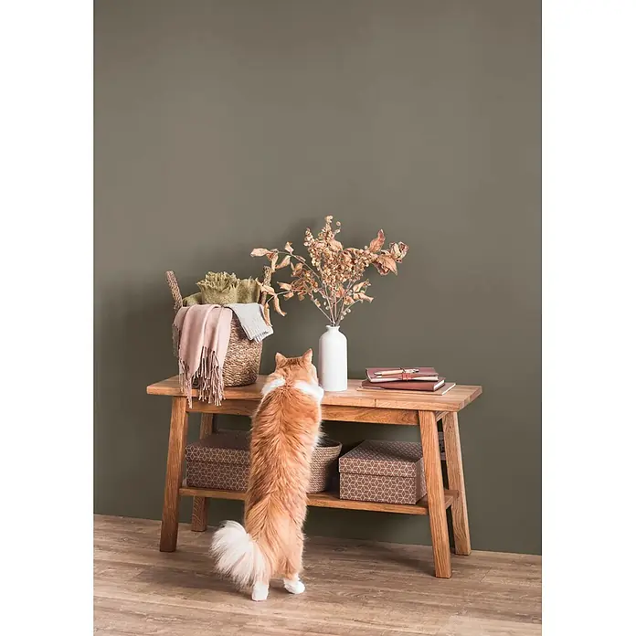 Caleo Color Wandfarbe Lehmfarbe Sumpfgras - Sumpfgras, Matt, 10 l - Hölzerner Konsolentisch mit zwei Ablagen zur Aufbewahrung und Dekoration, in einem Wohnraum. Eine Katze betrachtet neugierig die Gegenstände auf der oberen Ablage.