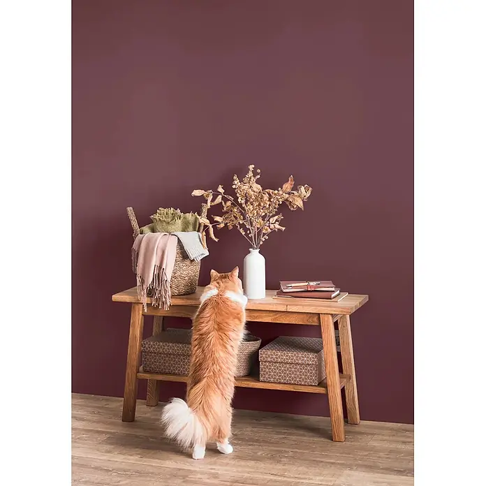 Caleo Color Wandfarbe Lehmfarbe Kaminabend - Kaminabend, Matt, 2,25 l - Orangefarbene Katze erkundet rustikalen Holzkonsolentisch mit Trockenblumen und Büchern vor einer dunkelroten Wand.