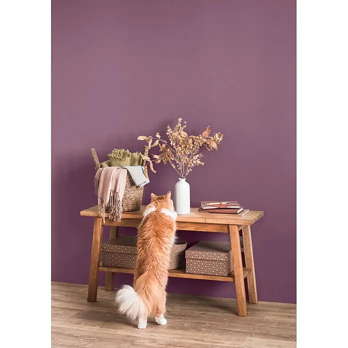 Caleo Color Wandfarbe Lehmfarbe Heidekraut - Heidekraut, Matt, 2,25 l - Heller Holzkonsolentisch mit Deko und einer Katze vor einer lila Wand.