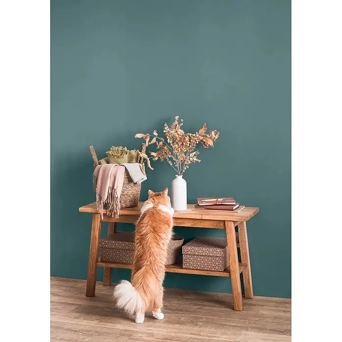 Caleo Color Wandfarbe Lehmfarbe Bergsee - Bergsee, Matt, 0,15 l - Heller Holztisch mit zwei Ablagen, dekoriert mit Korb, Vase und Notizbüchern, von einer Katze erkundet.