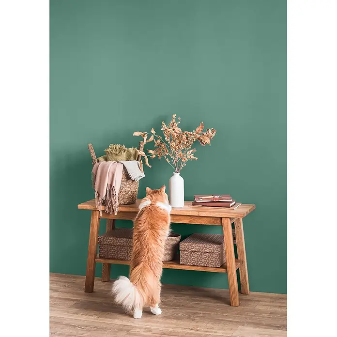 Caleo Color Wandfarbe Lehmfarbe Elbling - Elbling, Matt, 10 l - Holzkonsole mit Korb, Trockenblumen, Büchern und Deko-Boxen. Eine Katze steht auf den Hinterbeinen und schaut auf die Gegenstände.