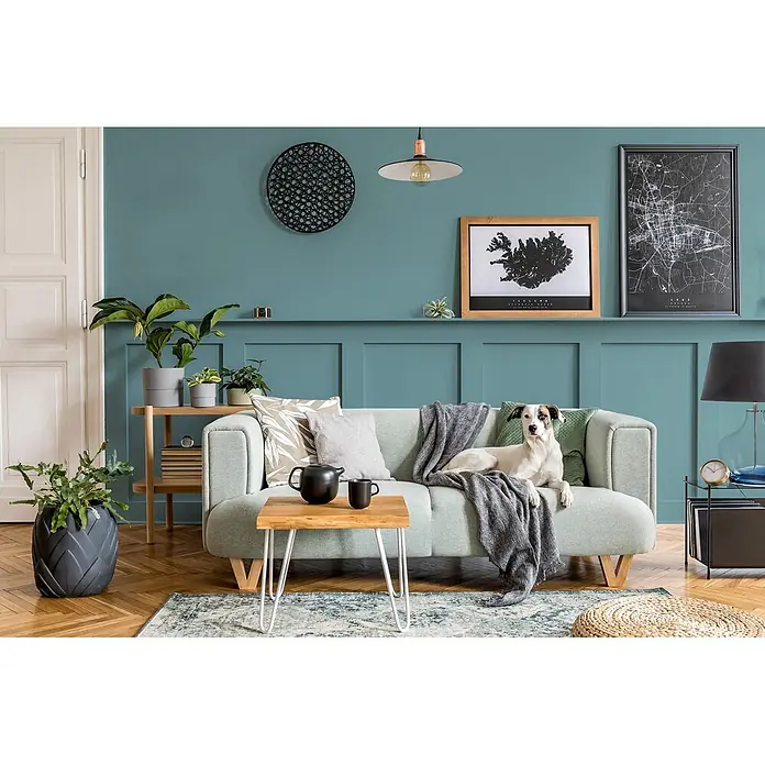 Caleo Color Wandfarbe Lehmfarbe Bergsee - Bergsee, Matt, 0,15 l - Hellgrünes Sofa mit Holzbeinen, ein Hund ruht darauf in einem gemütlichen Wohnzimmer.
