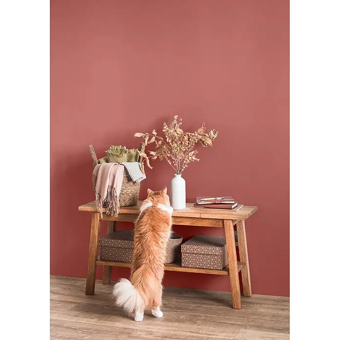 Caleo Color Wandfarbe Lehmfarbe Rosenknospe - Rosenknospe, Matt, 5 l - Heller Holzkonsolentisch mit zwei Ablagen, Korb, Vase und Notizbüchern. Eine Katze steht auf Hinterbeinen und schaut auf die Oberseite.