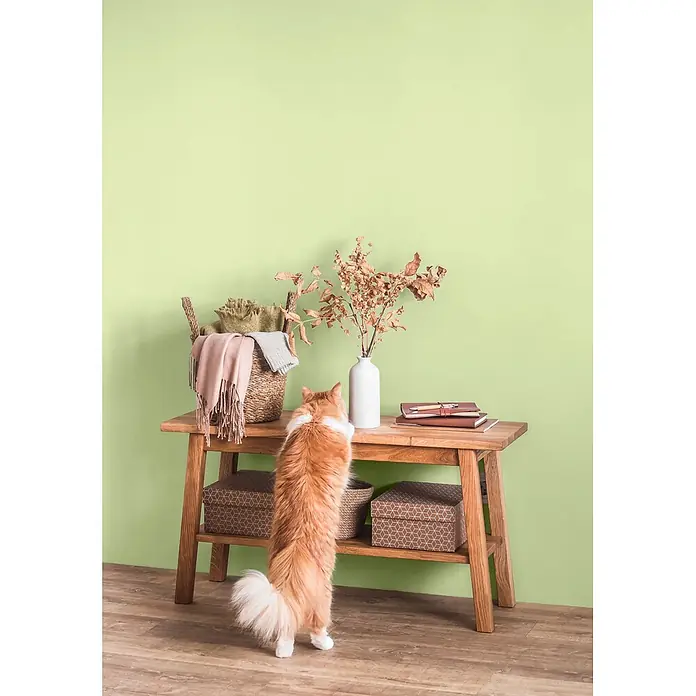 Caleo Color Wandfarbe Lehmfarbe Zauberwald - Zauberwald, Matt, 0,15 l - Hölzerner Konsolentisch mit einer Katze, die Ausstellungsstücke und Aufbewahrungsboxen erkundet.