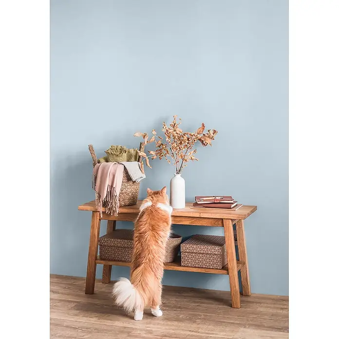 Caleo Color Wandfarbe Lehmfarbe Morgentau - Morgentau, Matt, 2,25 l - Ein heller Holzkonsolentisch mit zwei Ablagen. Darauf stehen ein Korb, eine Vase und Notizbücher, eine Katze streckt sich danach.
