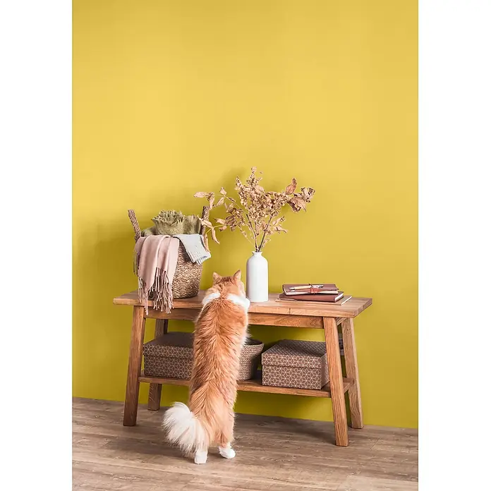 Caleo Color Wandfarbe Lehmfarbe Steppengras - Steppengras, Matt, 5 l - Holzkonsolentisch mit Deko und Aufbewahrungsboxen, von einer neugierigen Katze erkundet.