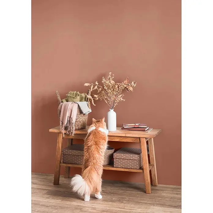 Caleo Color Wandfarbe Lehmfarbe Herbstlaub - Herbstlaub, Matt, 2,25 l - Holzkonsole im Wohnzimmer, Katze reicht nach Gegenständen darauf, zeigt Höhe und Nutzen.