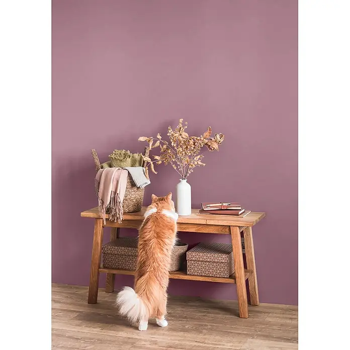 Caleo Color Wandfarbe Lehmfarbe Königsflieder - Königsflieder, Matt, 5 l - Naturholz-Konsolentisch mit Ober- und Unterablage, in häuslicher Umgebung mit Katze.