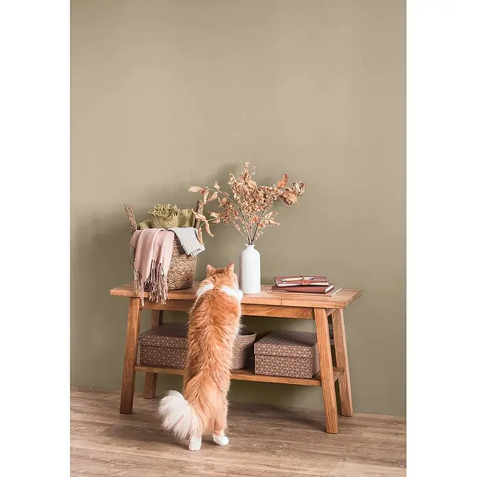 Caleo Color Wandfarbe Lehmfarbe Papyrus - Papyrus, Matt, 10 l - Hölzerner Konsolentisch mit Trockendeko, Decken im Korb und Notizbüchern. Eine Katze steht davor und zeigt die Größe.