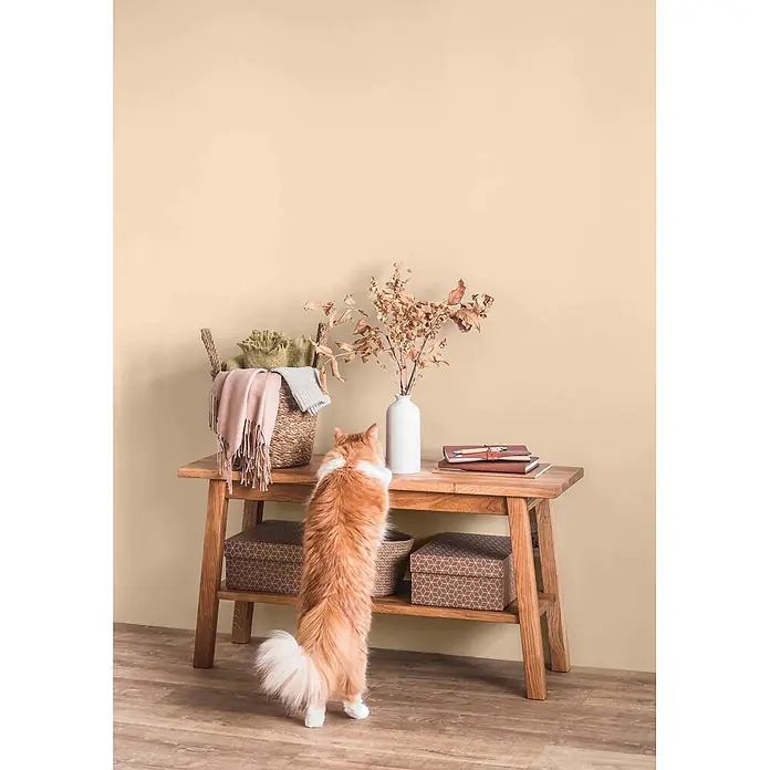 Caleo Color Wandfarbe Lehmfarbe Pampasgras - Pampasgras, Matt, 2,25 l - Ein hellbrauner Konsolentisch aus Holz mit Korb, Vase und Notizbüchern darauf und gemusterten Boxen darunter. Eine Katze streckt sich danach.