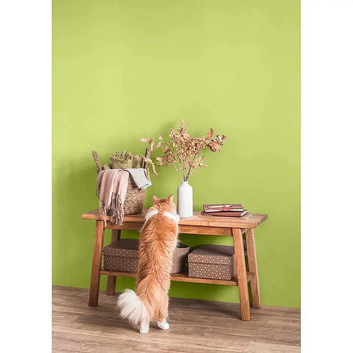Caleo Color Wandfarbe Lehmfarbe Urzeitfarn - Urzeitfarn, Matt, 5 l - Ein heller Holzkonsolentisch mit zwei Ablagen, darauf ein Korb, Trockenblumen und Notizbücher. Eine Katze steht auf den Hinterbeinen und interagiert mit der Oberfläche.