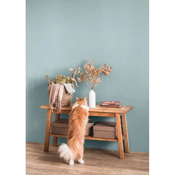 Caleo Color Wandfarbe Lehmfarbe Eisenherz - Eisenherz, Matt, 0,15 l - Holzkonsole mit Dekoartikeln und Aufbewahrungsboxen; eine Katze steht auf den Hinterbeinen und blickt auf den Tisch.