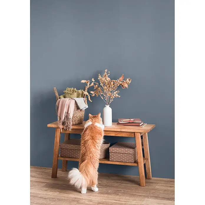 Caleo Color Wandfarbe Lehmfarbe Wolkenbett - Wolkenbett, Matt, 0,15 l - Holzkonsolentisch mit Körben, Büchern und Vase, eine Katze steht auf den Hinterbeinen und inspiziert die Gegenstände.