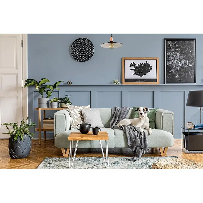 Caleo Color Wandfarbe Lehmfarbe Wolkenbett - Wolkenbett, Matt, 0,15 l - Ein Hund ruht auf einem hellgrünen Sofa mit einem grauen Überwurf in einem gemütlichen Wohnzimmer.
