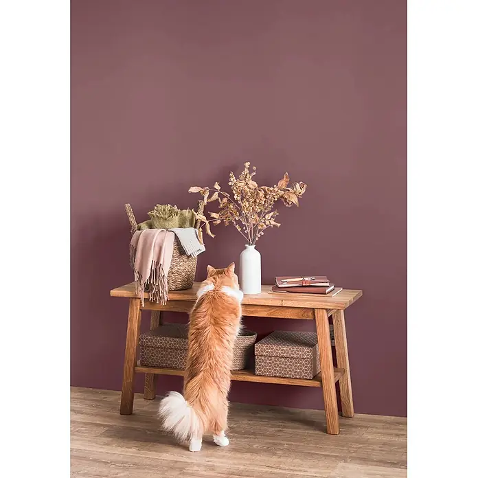 Caleo Color Wandfarbe Lehmfarbe Purpurglöckchen - Purpurglöckchen, Matt, 5 l - Hölzerner Konsolentisch mit Stauraum, verziert mit Korb und Vase, zeigt Vielseitigkeit der Wohnkultur, mit einer beobachtenden Katze.