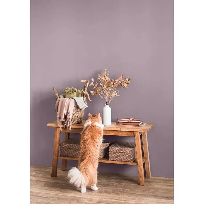 Caleo Color Wandfarbe Lehmfarbe Traumfänger - Traumfänger, Matt, 5 l - Eine flauschige orange-weiße Katze steht auf den Hinterbeinen und schaut auf einen minimalistischen Holzkonsolentisch mit Dekoration.