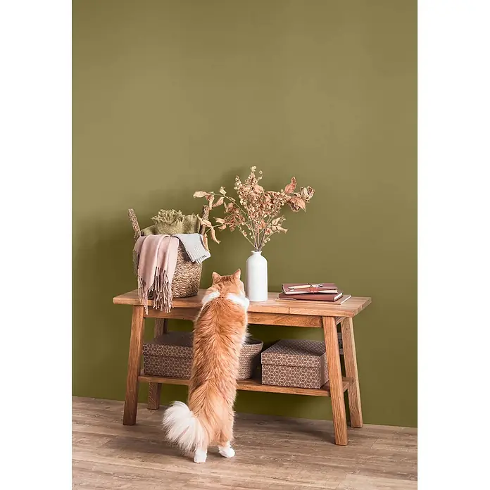 Caleo Color Wandfarbe Lehmfarbe Pistazie - Pistazie, Matt, 0,15 l - Ein Holzkonsolentisch im Wohnbereich mit Korb, Textilien, Trockenblumen und Büchern, während eine neugierige Katze zum Tisch hochreicht.