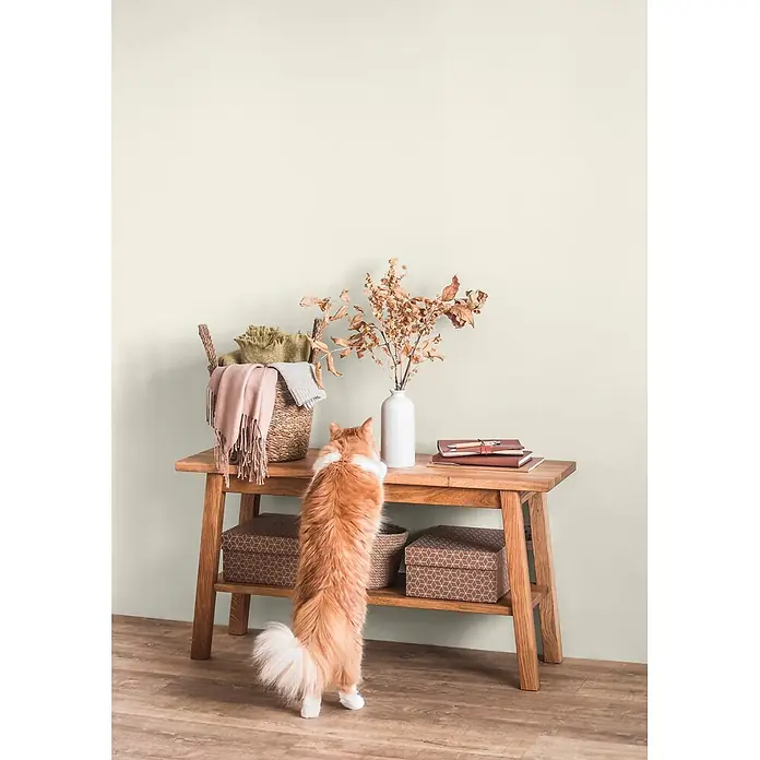 Caleo Color Wandfarbe Lehmfarbe Naturweiß - Naturweiß, Matt, 10 l - Hölzerner Konsolentisch präsentiert Deko und Aufbewahrungsboxen. Eine orange Katze reckt sich nach oben.