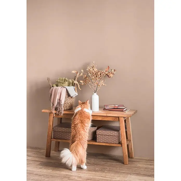 Caleo Color Wandfarbe Lehmfarbe Wüstenwind - Wüstenwind, Matt, 5 l - Holz-Konsolentisch mit einer Katze, die auf ihren Hinterbeinen steht, zeigt seine dekorative und funktionale Verwendung.