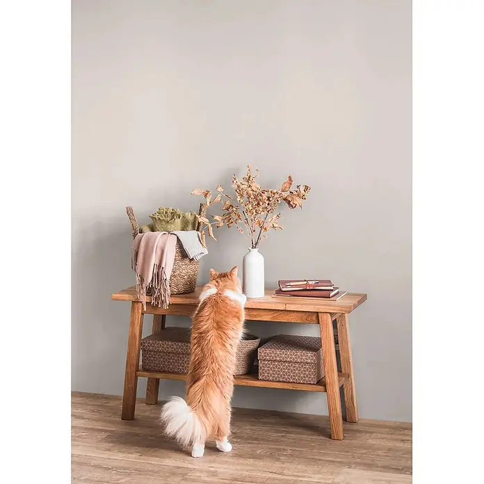 Caleo Color Wandfarbe Lehmfarbe Mondstein - Mondstein, Matt, 5 l - Naturholz-Konsolentisch mit zwei Ablagen, dekoriert mit Korb, Vase und Büchern, eine Katze steht daneben.