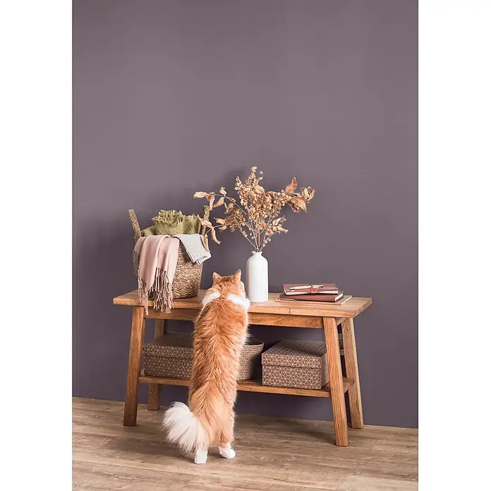 Caleo Color Wandfarbe Lehmfarbe Lavendel - Lavendel, Matt, 0,15 l - Katze auf Hinterbeinen erkundet Holztisch mit Korbschale voller Decken, Trockenpflanzen in Vase und Notizbüchern.