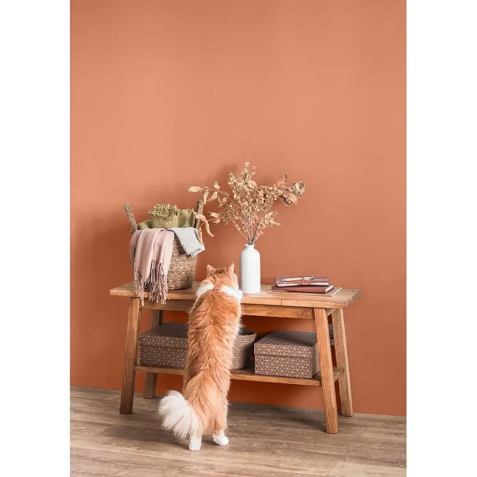 Caleo Color Wandfarbe Lehmfarbe Tonscherbe - Tonscherbe, Matt, 2,25 l - Eine flauschige orange-weiße Katze steht auf den Hinterbeinen und blickt über einen Holzkonsolentisch mit einem Korb Decken, einer weißen Vase mit Trockenpflanzen und Notizbüchern.