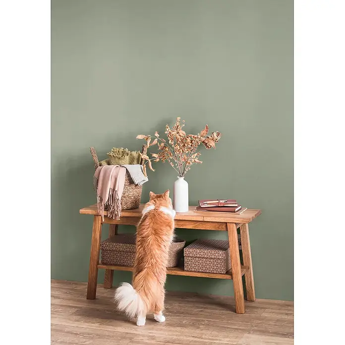 Caleo Color Wandfarbe Lehmfarbe Schilf - Schilf, Matt, 10 l - Holztisch mit Korb, Vase und Büchern. Eine neugierige Katze streckt sich zum Tisch hoch.