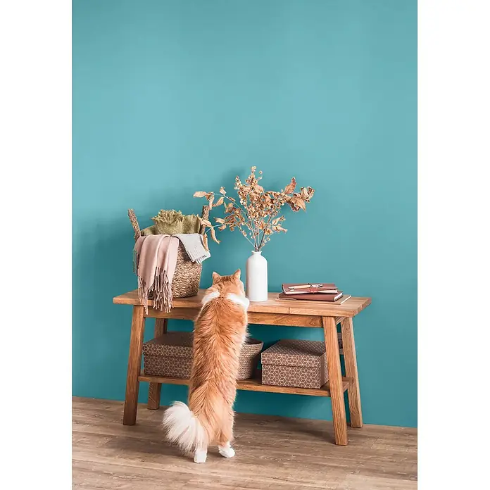 Caleo Color Wandfarbe Lehmfarbe Gletschertau - Gletschertau, Matt, 5 l - Holztisch mit Katze, die Gegenstände darauf untersucht, im Wohnambiente.