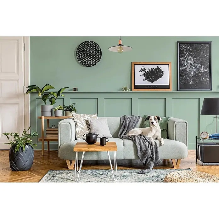 Caleo Color Wandfarbe Lehmfarbe Agave - Agave, Matt, 0,15 l - Ein modernes Wohnzimmer mit einem hellgrünen Sofa und einem Hund, einem kleinen Holztisch und Pflanzen sowie Wanddekoration.