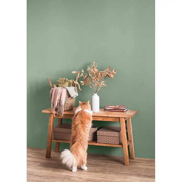 Caleo Color Wandfarbe Lehmfarbe Agave - Agave, Matt, 0,15 l - Ein Holzkonsolentisch präsentiert einen geflochtenen Korb, getrocknetes Laub in einer Vase und Notizbücher, beobachtet von einer neugierigen Katze.