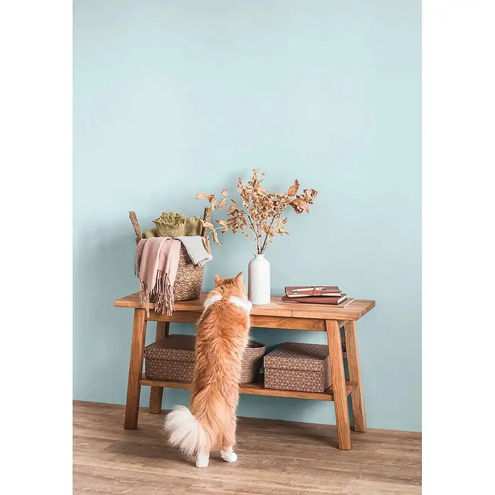 Caleo Color Wandfarbe Lehmfarbe Eisblume - Eisblume, Matt, 0,15 l - Heller Konsolentisch aus Holz mit zwei Ablagen. Eine Katze steht auf den Hinterbeinen und blickt auf die obere Ablage mit Korb, Vase und Büchern.