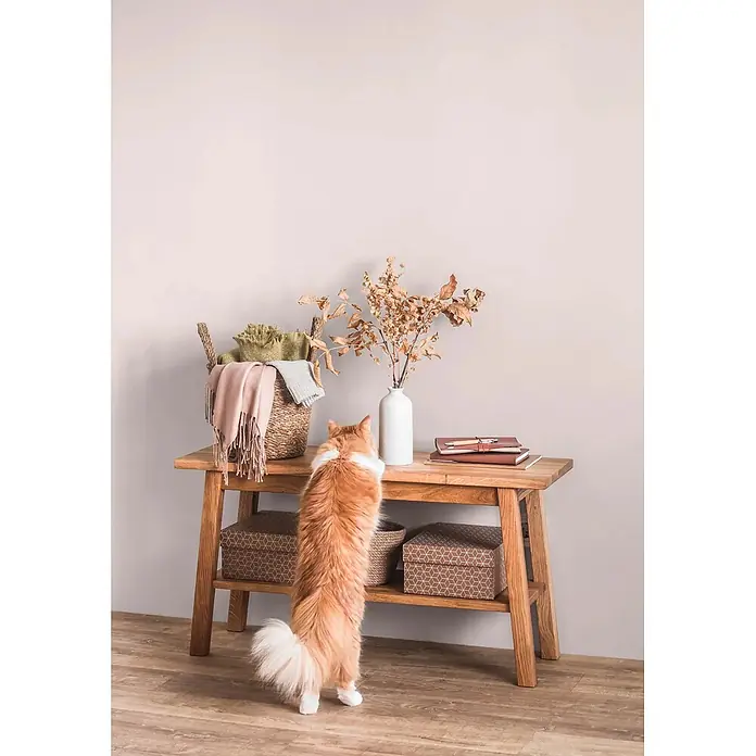 Caleo Color Wandfarbe Lehmfarbe Weidenkätzchen - Weidenkätzchen, Matt, 2,25 l - Hölzerner Konsolentisch mit einer Katze, die seine Oberfläche erkundet, dekoriert mit einem Korb, getrockneten Blättern und Büchern.