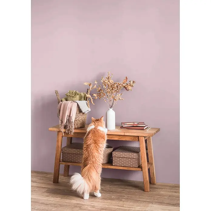 Caleo Color Wandfarbe Lehmfarbe Blütenzauber - Blütenzauber, Matt, 5 l - Heller Holztisch mit einer Katze, die auf den Hinterbeinen nach Gegenständen auf der Oberfläche greift. Unten sind Aufbewahrungsboxen zu sehen.
