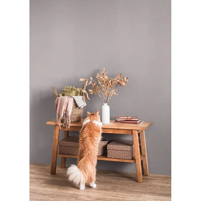 Caleo Color Wandfarbe Lehmfarbe Achat - Achat, Matt, 5 l - Ein Konsolentisch aus Holz mit verschiedenen Gegenständen und einer Katze, die danach greift.