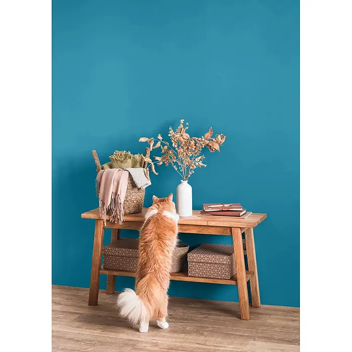 Caleo Color Wandfarbe Lehmfarbe Wellenspiel - Wellenspiel, Matt, 2,25 l - Heller Konsolentisch aus Holz in einem Raum, eine Ingwerkatze steht auf den Hinterbeinen, um die Tischplatte zu erreichen.