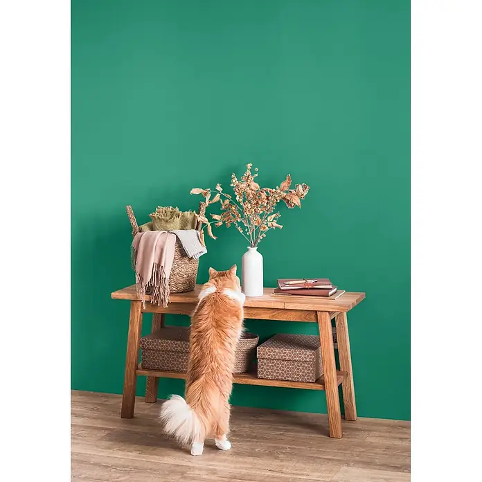 Caleo Color Wandfarbe Lehmfarbe Smaragd - Smaragd, Matt, 0,15 l - Ein Holzkonsolentisch mit Dekoration, darunter ein Korb und Trockenblumen, während eine flauschige Katze auf den Hinterbeinen steht, um ihn zu inspizieren.