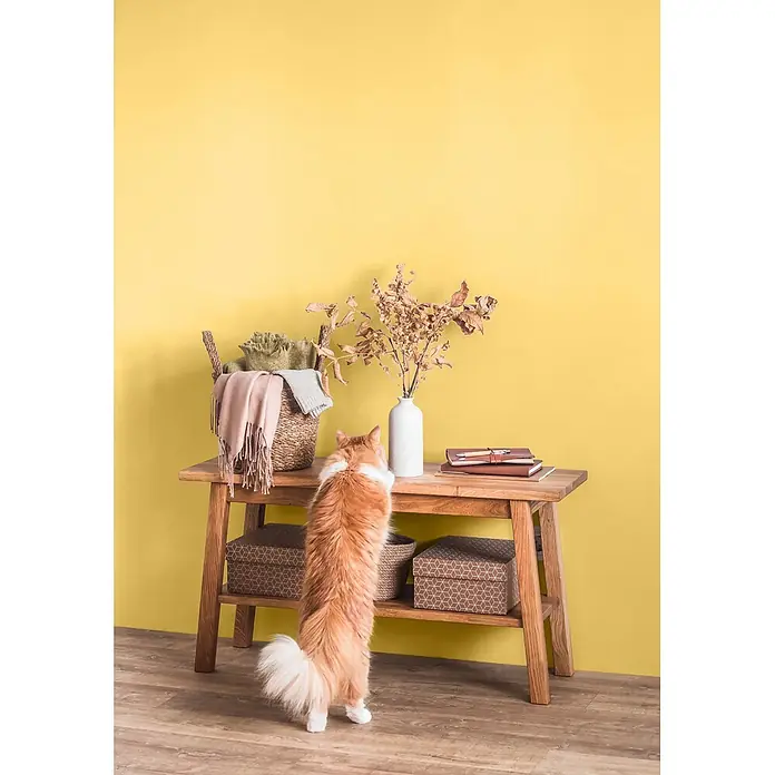 Caleo Color Wandfarbe Lehmfarbe Kükenflaum - Kükenflaum, Matt, 2,25 l - Hölzerner Konsolentisch mit Ablagen, dekoriert und von einer Katze beobachtet.