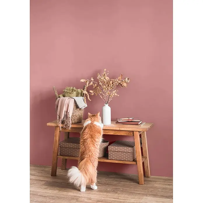 Caleo Color Wandfarbe Lehmfarbe Rosenquarz - Rosenquarz, Matt, 10 l - Eine orange Katze greift zu einem Holzkonsolentisch mit einem Weidenkorb, Trockenblumen und Notizbüchern vor einer rosa Wand.