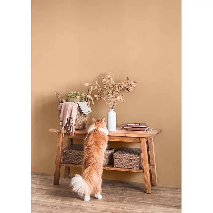 Caleo Color Wandfarbe Lehmfarbe Pfifferling - Pfifferling, Matt, 5 l - Orange-weiße Katze auf Hinterbeinen an einem Holzkonsolentisch mit zwei Ablagen, dekoriert mit Korb, Vase und Büchern.