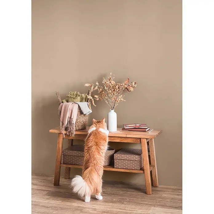 Caleo Color Wandfarbe Lehmfarbe Samtpfote - Samtpfote, Matt, 10 l - Ein heller Holztisch mit Deko; eine orange-weiße Katze steht auf den Hinterbeinen und schaut auf den Tisch.
