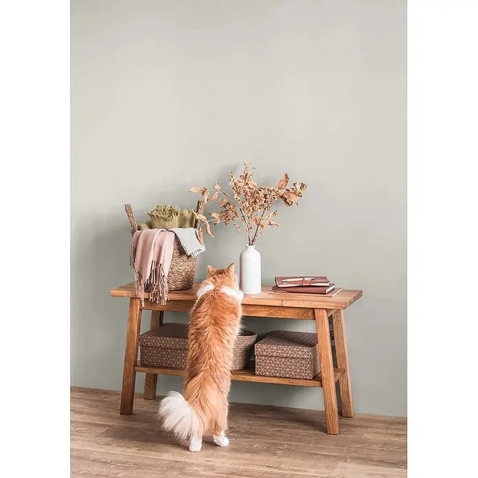 Caleo Color Wandfarbe Lehmfarbe Raureif - Raureif, Matt, 10 l - Holz-Konsolentisch in einem Wohnraum, mit oberer Ablagefläche und unterem Regal. Eine Katze reckt sich, um die Dekoration zu erkunden.